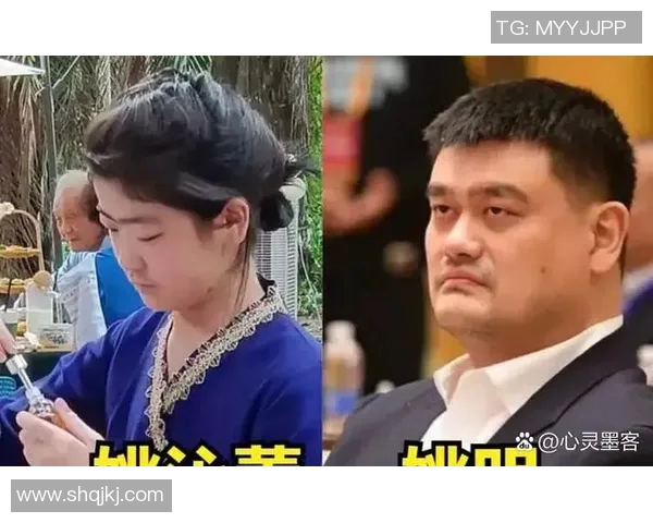 禅师从心灵与篮球的角度深度解析姚明的伟大与人生智慧